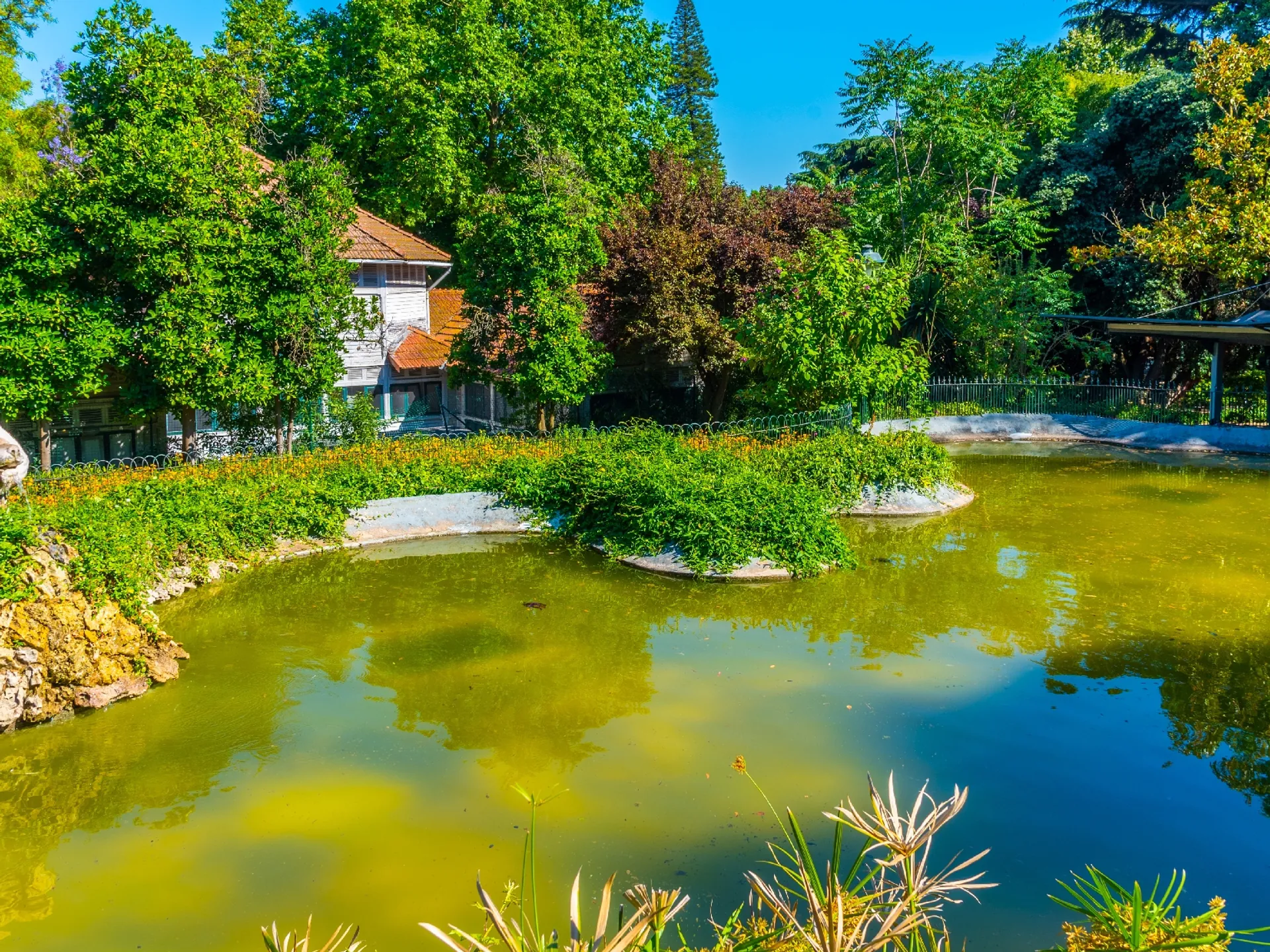 Vista de un estanque en el Jardim da Estrela en Lisboa