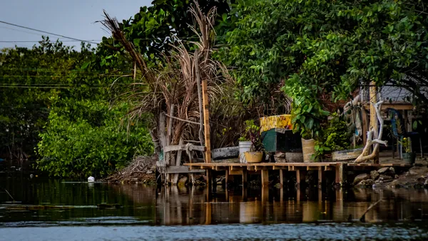 excursión Manglares Boquilla desde Cartagena Indias tour español Colombia