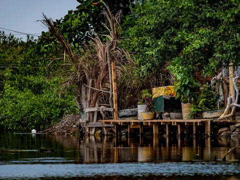 excursión Manglares Boquilla desde Cartagena Indias tour español Colombia