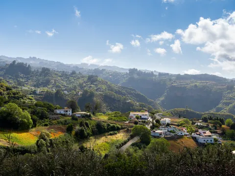En Valleseco, además de observar la grandeza natural de la isla, tendremos tiempo para comer.