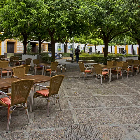 Plaza de Doña Elvira - Qué ver en Sevilla - Guía de viaje Sevilla - Buendía Tours