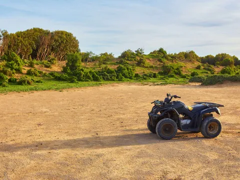 Paseo en quad por el Palmeral de Marrakech en entorno natural abierto