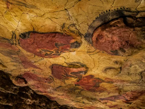 Conjunto de bisontes en el techo de la Neocueva de Altamira, Cantabria