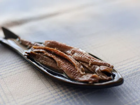 visita guiada Conservera Anchoa Santoña tour Marismas Degustacion Cantabria