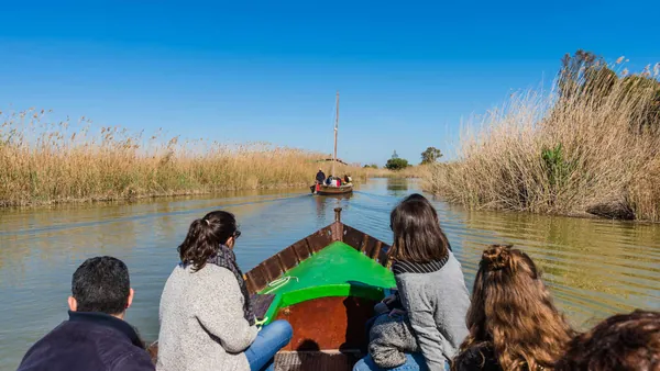 Paseo en barca por los canales del Parque Natural de la Albufera, Valencia