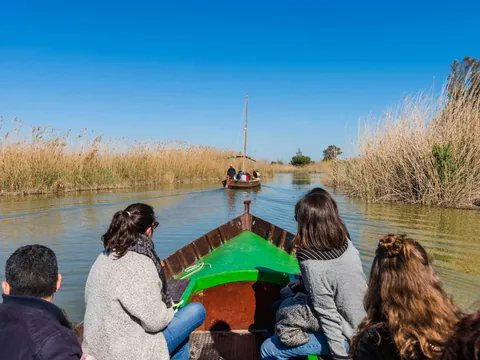 Paseo en barca por los canales del Parque Natural de la Albufera, Valencia
