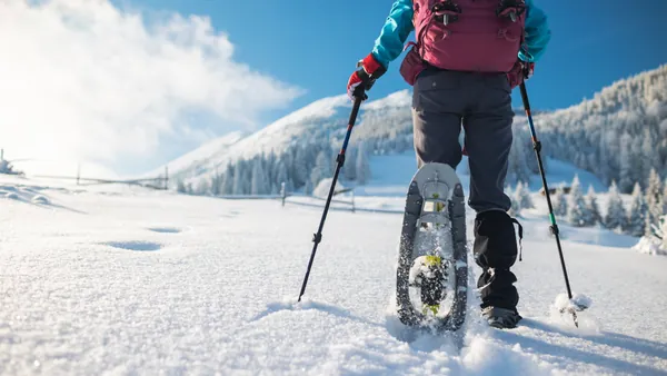 Persona con raquetas de nieve y bastones caminando sobre un paisaje nevado, con montañas y árboles cubiertos de nieve al fondo.