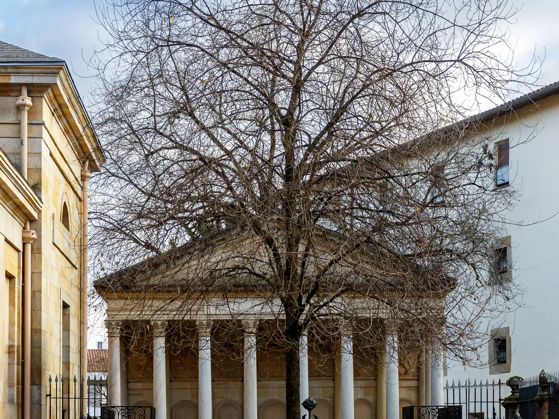 arbol nuevo Gernika