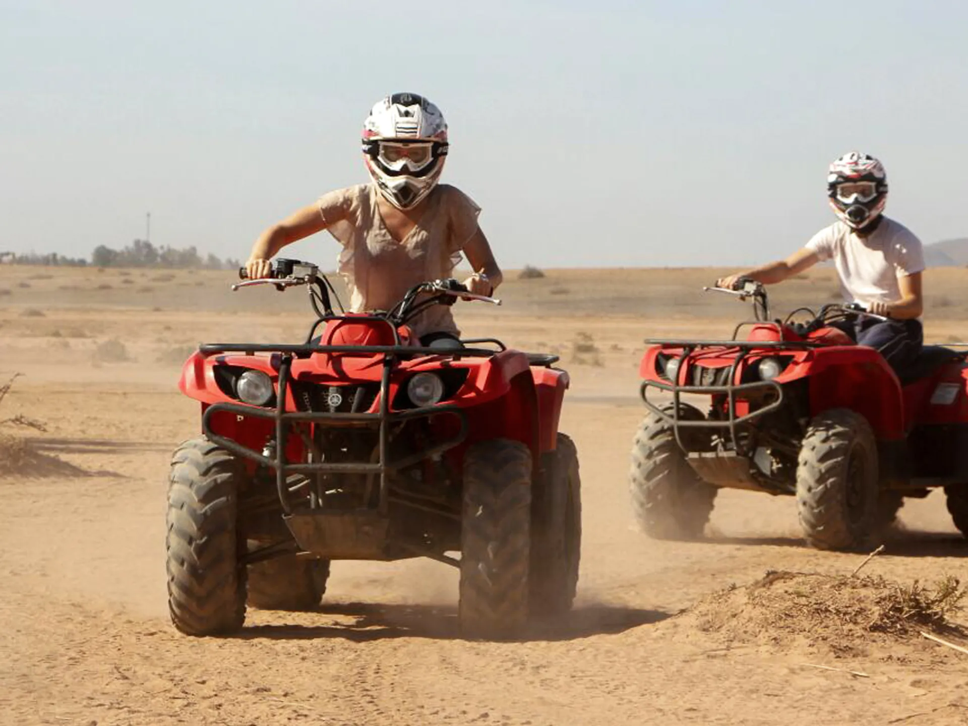 Qué hacer en el Palmeral de Marrakech