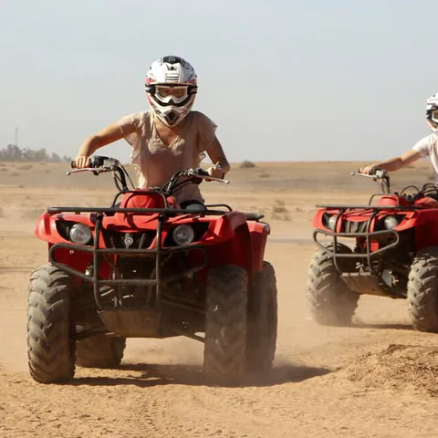 Qué hacer en el Palmeral de Marrakech