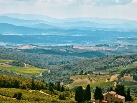 Panorámica de colinas y viñedos infinitos en la región de la Toscana