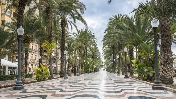 Paseo de la Explanada de España con palmeras y mosaico ondulado en Alicante