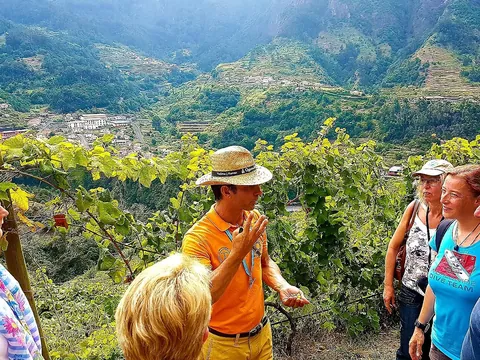 excursión 4x4 Madeira Bodegas Cata Vino Skywalk Cabo Girao Funchal
