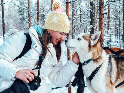 Mujer acariciando a un perro husky en un paisaje nevado, rodeado de árboles en un bosque ártico, típico de excursiones en Laponia.