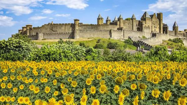 Campo de girasoles frente a la ciudadela medieval de Carcasona en un día de verano soleado.