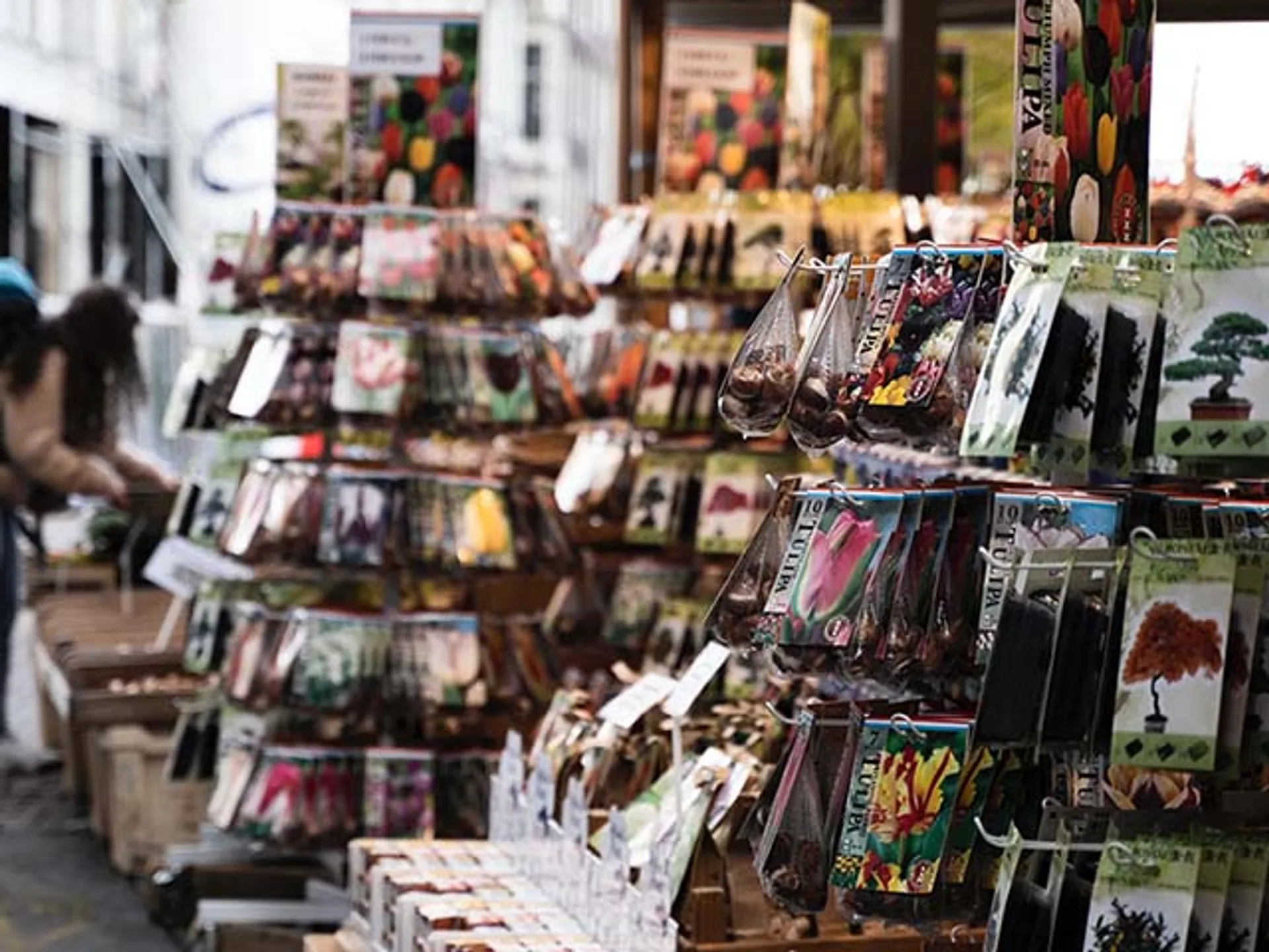 Mercado de las flores -Ámsterdam que ver-Guía de viaje - Buendía Tours
