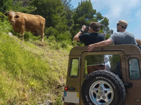 tour Completo Madeira 4x4 excursión español desde Funchal Todoterreno