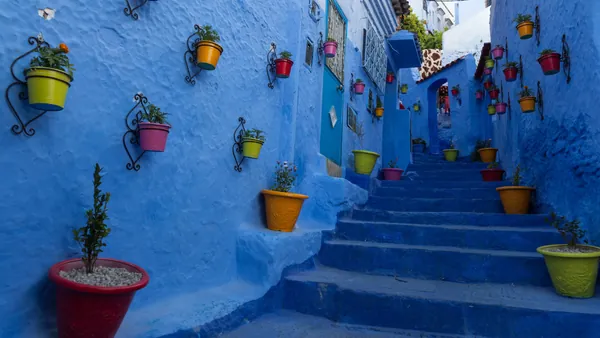 Macetas excursión Chefchaouen Marruecos