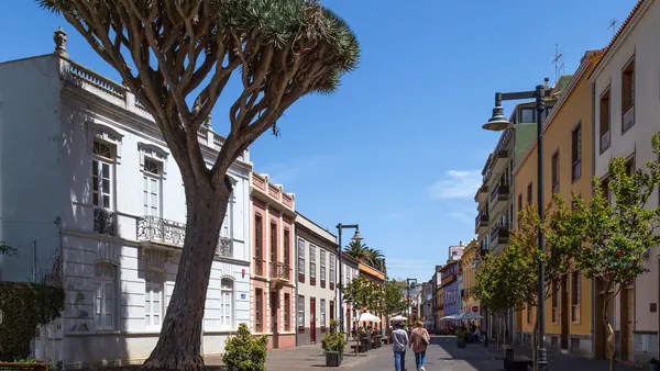 Calles de La Laguna con el típico árbol tinerfeño, el drago.