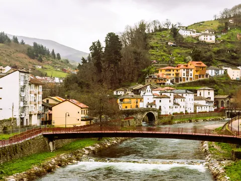 Cata de quesos con maridaje de sidras y vinos de Cangas de Narcea
