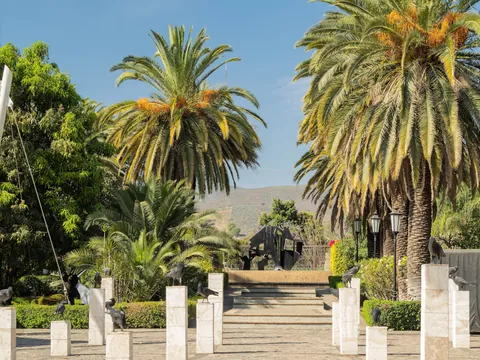 Excursión a Tequila con visita a la destilería de José Cuervo desde Guadalajara