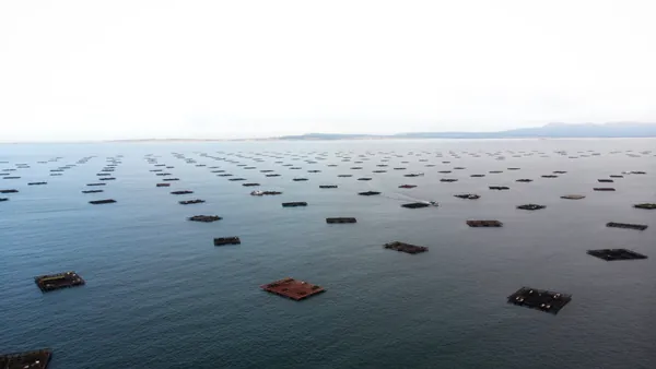 Bateas de mejillones en la ría Arousa