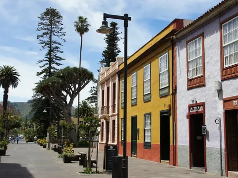 Leyenda del drago y su savia en las calles de La Laguna.