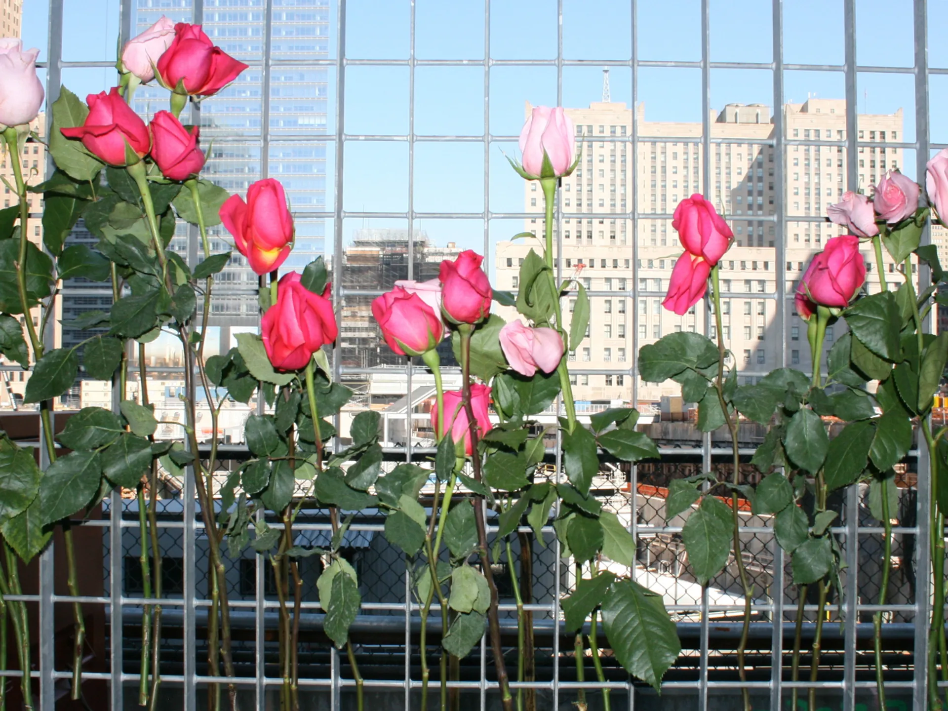 Flores en el World Trade Center de Nueva York - Museo Memorial del 11-S - Qué ver en Nueva York - Guía de Viajes Nueva York - Buendía Tours