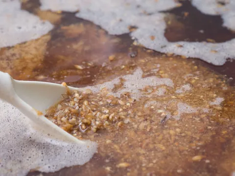 visita guiada Fabrica Cerveza Artesanal Valles Lopulo Brimeda Castilla León