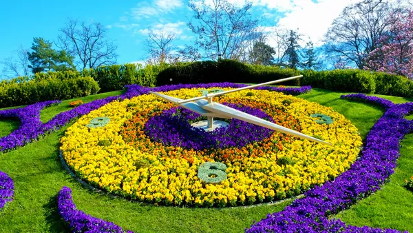 visita-guiada-ginebra_en-español_reloj-flores_suiza_buendia.jpg