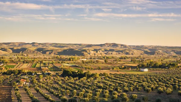 visita Bodega del Nero Viñedos Comunidad Madrid Chinchon Buendía