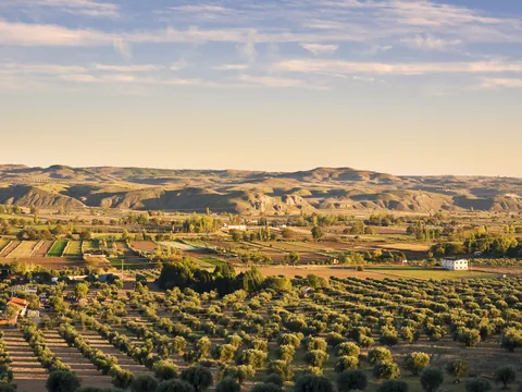 visita Bodega del Nero Viñedos Comunidad Madrid Chinchon Buendía