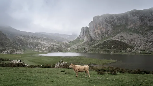 Qué hacer en Cangas de Onís: naturaleza, aventura y acceso a los Picos de Europa