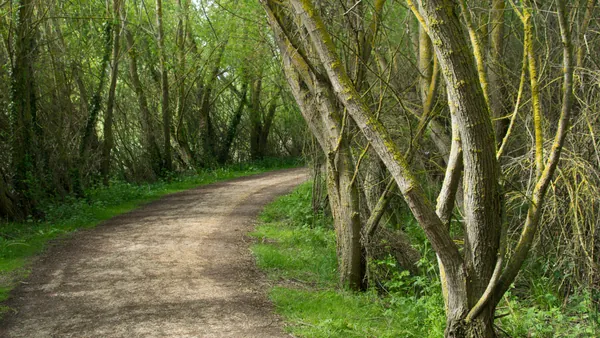 salburua-ruta-bici-vitoria