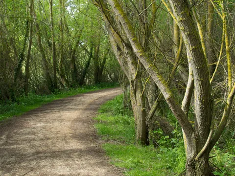 salburua-ruta-bici-vitoria