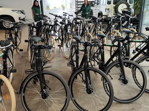 tour Bicicleta Sevilla visitaguiada alquiler Bici