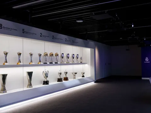 Podrás ver las Copas de Europa conseguidas por el club a los largo de su historia.