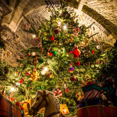 Árbol de Navidad en el Castillo de Gante - Navidad en Bélgica - Blog - Buendía Tours