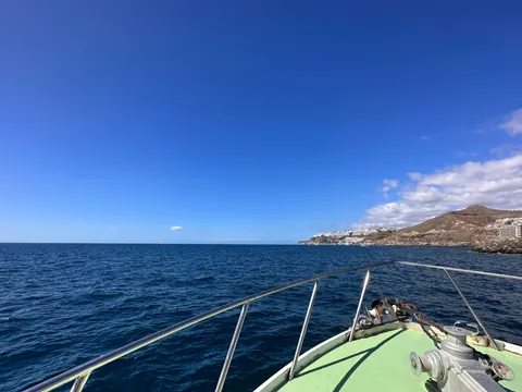 paseo catamarán Costa Sur Gran Canaria