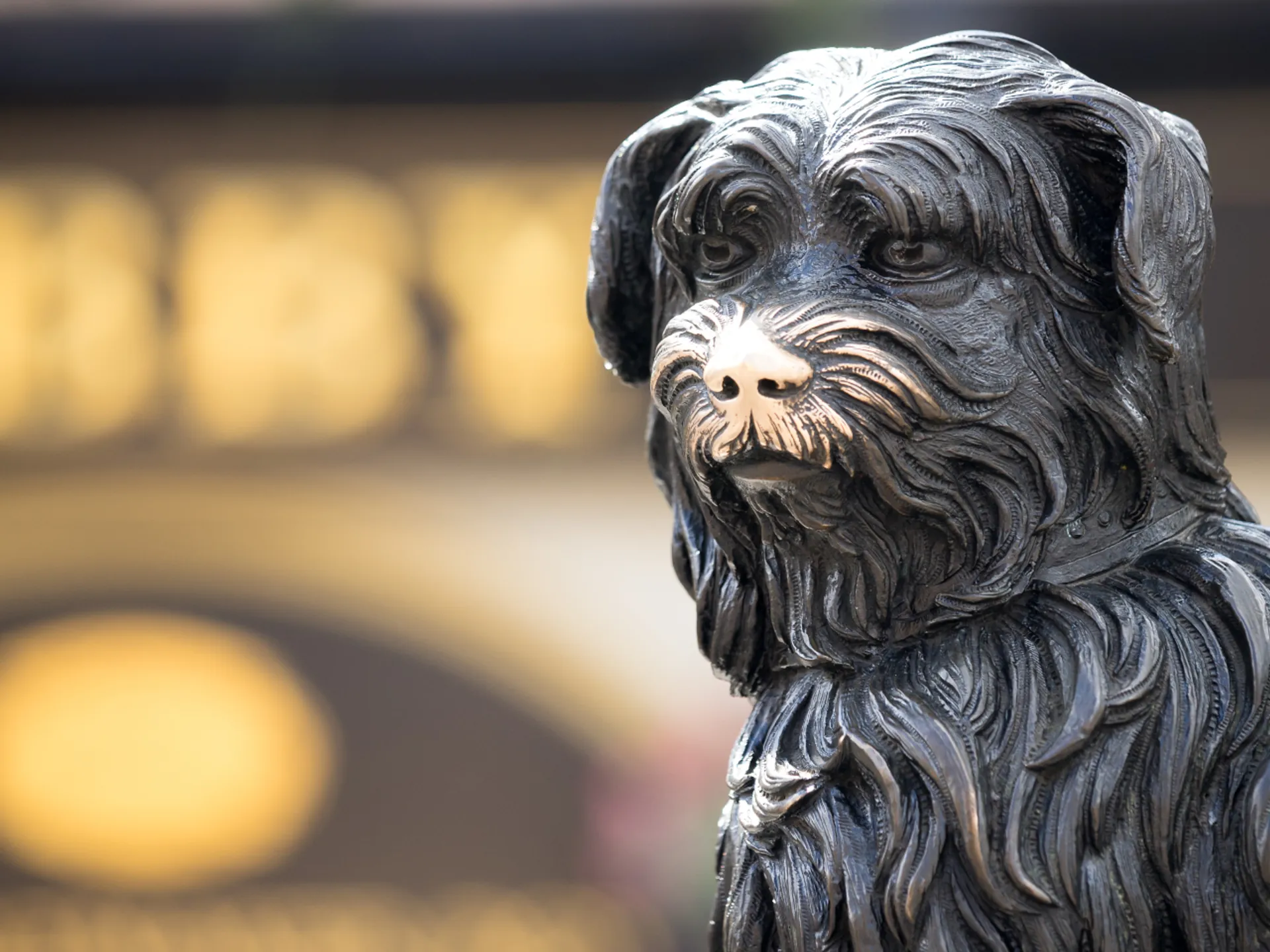 Perro del Cementerio de Greyfriars - Cementerio de Greyfriars - Qué ver en Edimburgo - Guía de Viajes Edimburgo - Buendía Tours