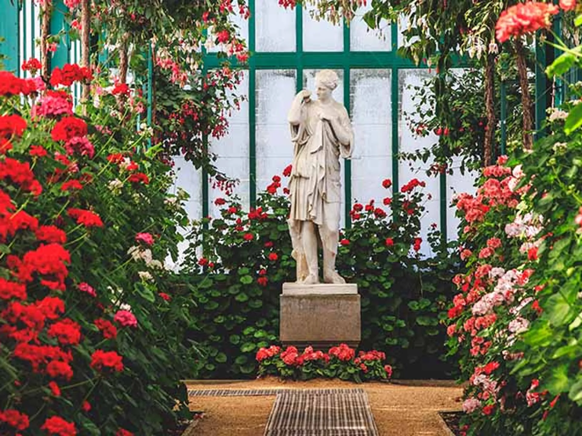 Flores en Los invernaderos de los jardines reales de Laeken-Guía Viaje Bruselas