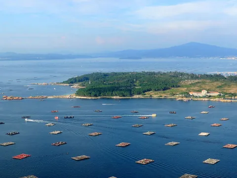 Paseo en barco por la ría de Arosa con degustación de mejillones desde O Grove