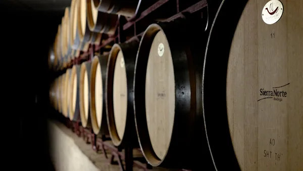 visita guiada Bodega Sierra Norte Calderon Cata Vinos Requena Comunidad Valenciana