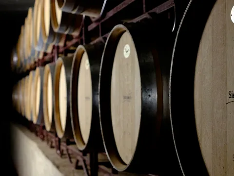 visita guiada Bodega Sierra Norte Calderon Cata Vinos Requena Comunidad Valenciana