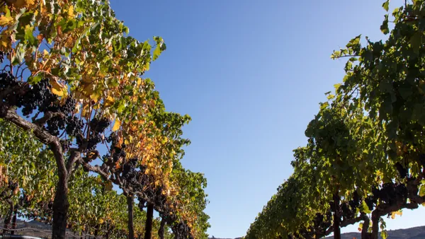 Viñedos Navarra Caudalia experiencias Garnacha Bodegas Caudalia