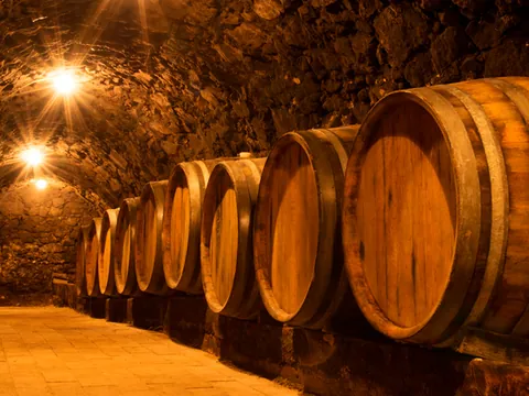 tour Bodegas Madrid excursión Ruta Vino Viñedo Enoturismo Buendía