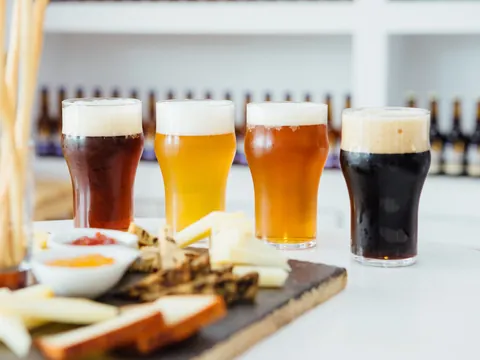 Diferentes tipos de cerveza y queso listos para una degustación.