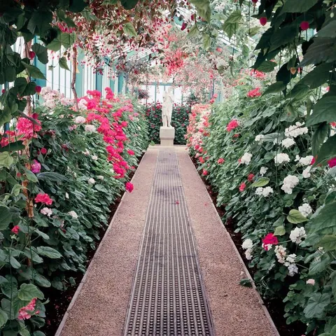 El interior de los invernaderos reales de Laeken