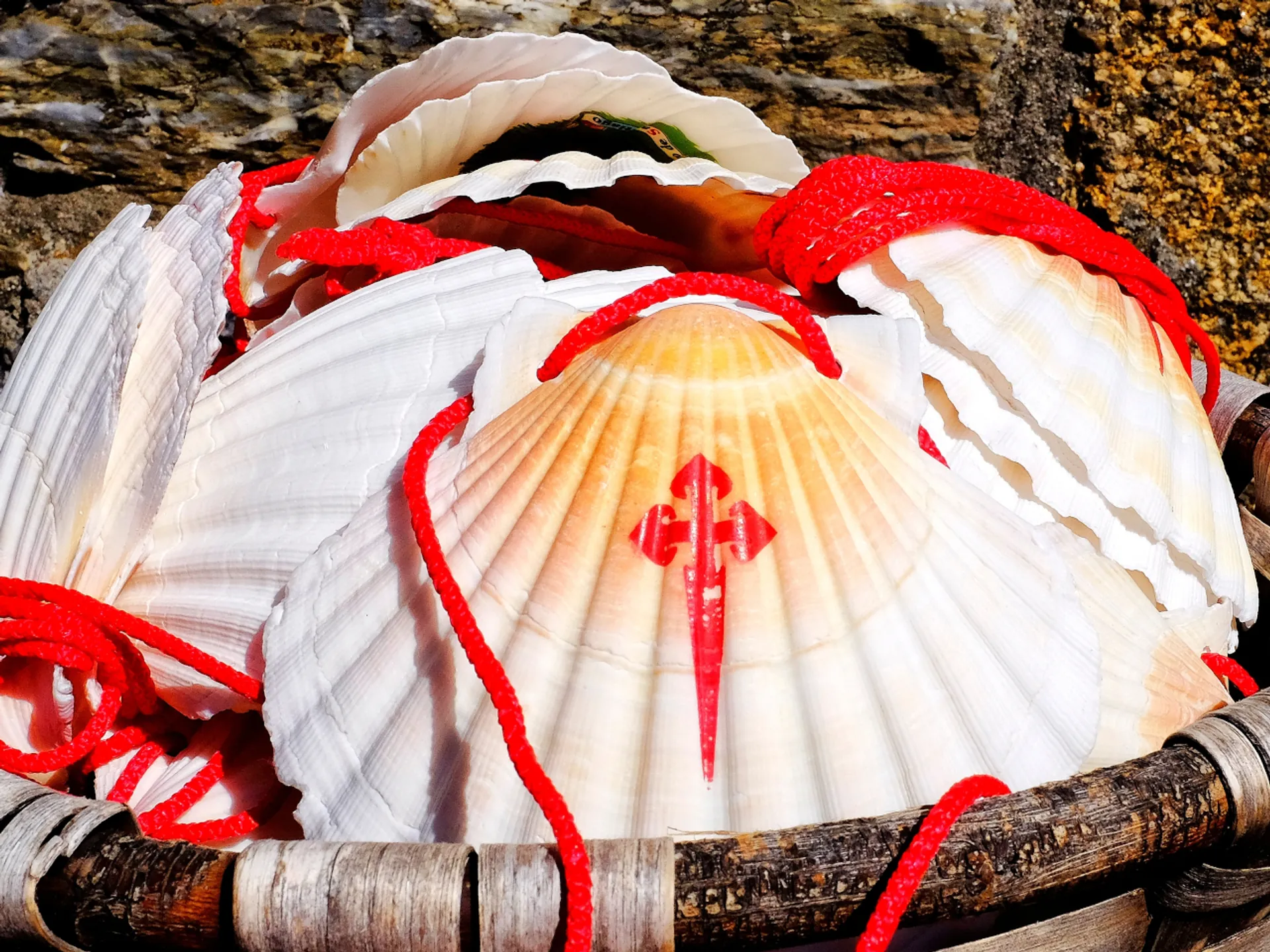 Santiago de Compostela - Vive un Halloween de miedo por España - Blog - Buendía Tours