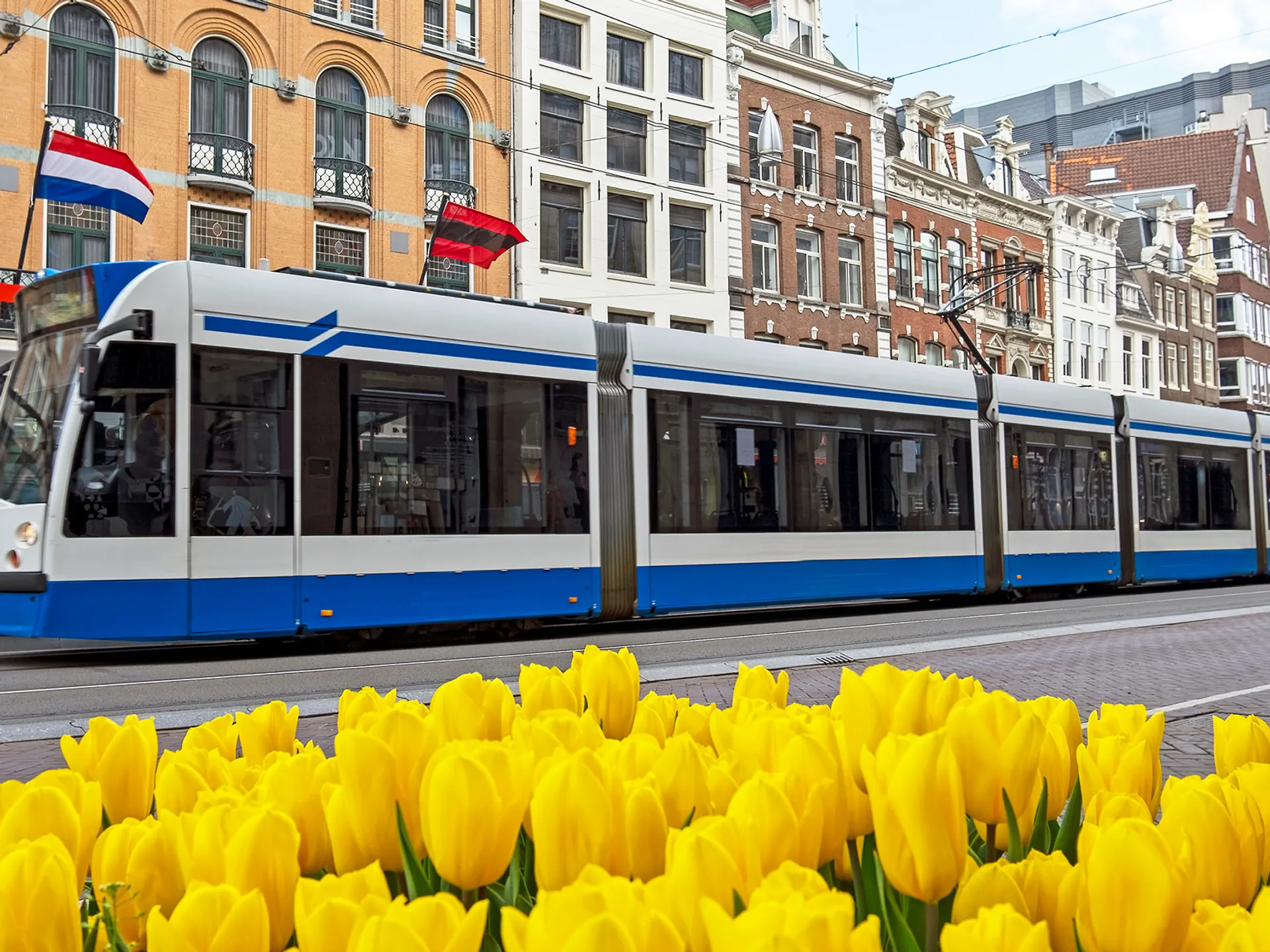 Tranvía Ámsterdam -que ver-guía de viaje buendía tours